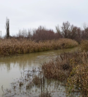 Наскільки катастрофічна ситуація з падінням рівня води у Придунайських озерах: коментар екологів