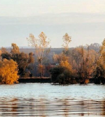 Наскільки катастрофічна ситуація з падінням рівня води у Придунайських озерах: коментар екологів