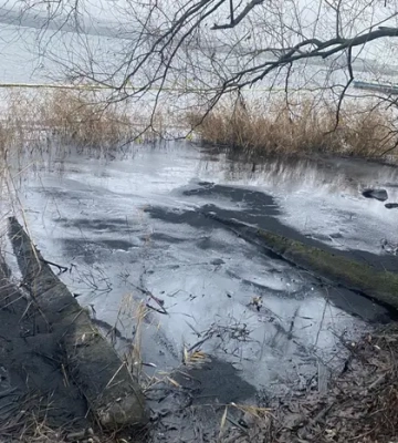 Витік нафтопродуктів у Ладижинське водосховище: названо ймовірну причину