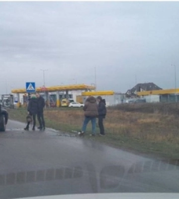 Біля Луцька – аварія: авто злетіло з дороги у кювет 