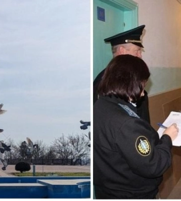 Выселить могут даже владельца: какие российские правила относительно жилья действуют в Мелитополе