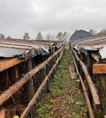 Понад 25 мільйонів гривень: підпільне виробництво тютюну ліквідували на Хмельниччині