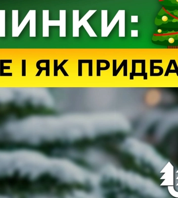 Штрафи за незаконну рубку ялинок перед новорічними святами підвищено втричі – "Ліси України "