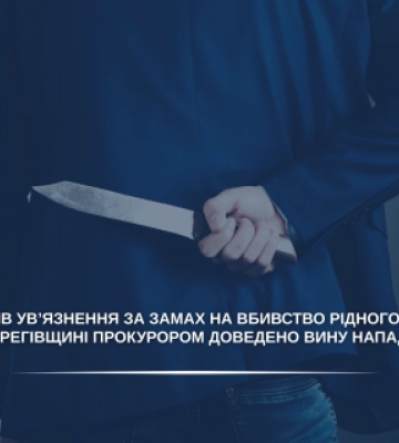 На Закарпатті чоловіка засудили за замах на вбивство брата через спадковий будинок