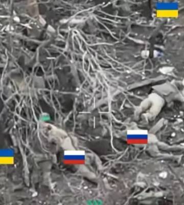 Двое украинских военных взяли в плен шестерых оккупантов на Александровском направлении — видео