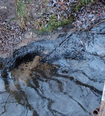 Плями мазуту з ТЕС забруднили водосховище на Вінниччині. Розпочато слідство