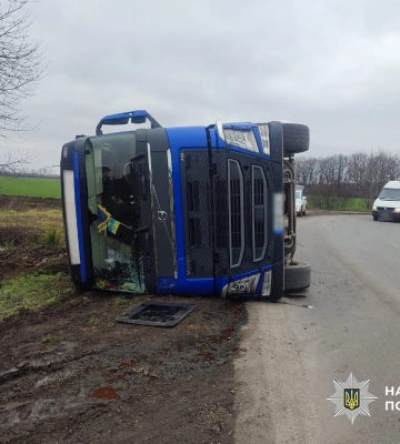 На Черкащині перекинулася вантажівка з худобою: пощастило як людям, так і тваринам. ФОТО