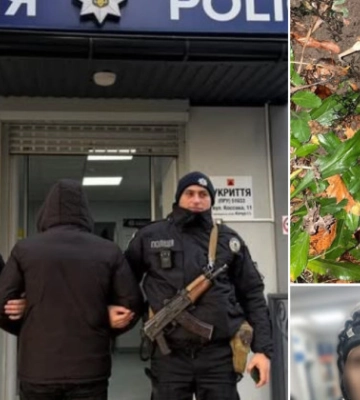 На Львівщині затримали чоловіка, який вдарив військового ТЦК у груди кухонним молотком