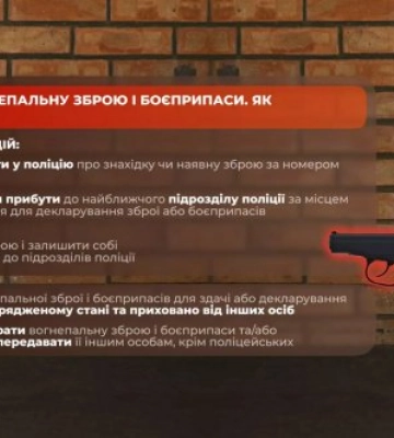 Законні підстави зберігання зброї – на Миколаївщині триває кампанія з декларування зброї