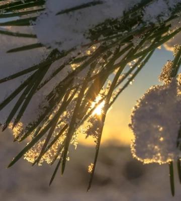 Дощ на 10° тепла: синоптики розповіли, якою буде погода на Львівщині завтра