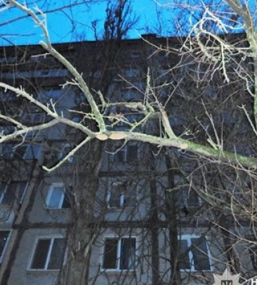 У Миколаєві затримали власника квартири, з вікна якої вистрибнула дівчина: її утримували силою