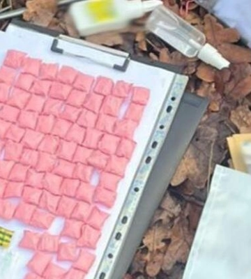 У Львові затримали «закладчицю»