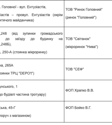 У Чернівцях почали продавати новорічні ялинки