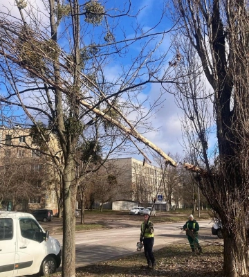 У Харкові ліквідовують наслідки нічного буревію 