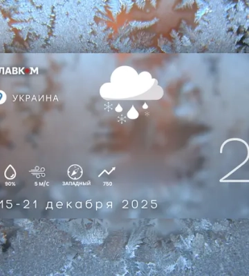 Погода в Івано-Франківську та області 15 грудня