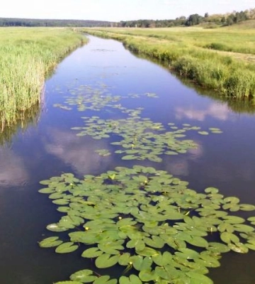 На Львівщині рятувальники дістали з каналу тіло чоловіка