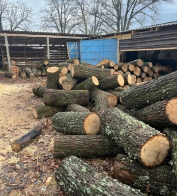 Понад 2,3 млн грн збитків завдали чорні лісоруби у Приютівській громаді