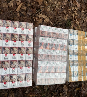 У Нововолинській громаді безкоштовно вакцинували понад 1,6 тисячі домашніх тварин від сказу