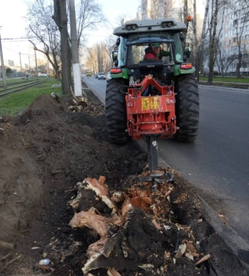 В Одесі тривають роботи з корчування пнів і висадження молодих дерев
