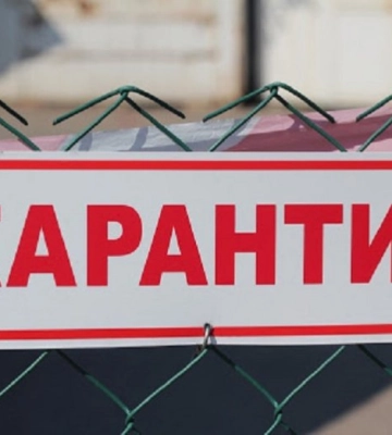У селі на Волині запровадили карантинні обмеження через сказ у кота