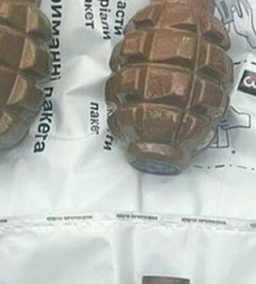 На Полтавщині у лісосмузі виявили заховані зброю та боєприпаси