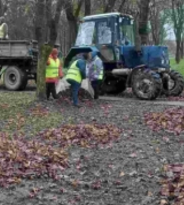 На вулицях Вишиванки та Небесної Сотні у Рівному комунальники навели лад у зелених зонах