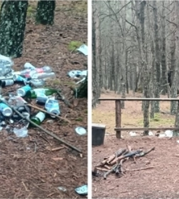 У лісі на Волині виявили гори сміття 