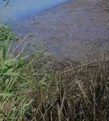 На Львівщині у водоймі знайшли потопельника