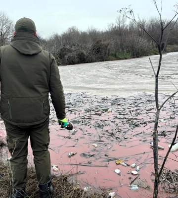 За селом на Одещині рідкі відходи видаляли прямо на поверхню ґрунту