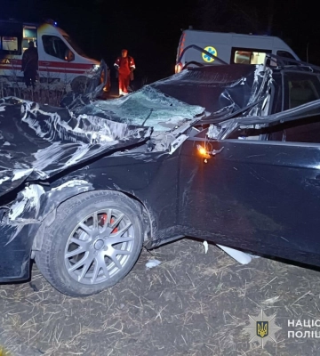 Автотроща на Львівщині: зіткнулися легковик та вантажівка (ФОТО)