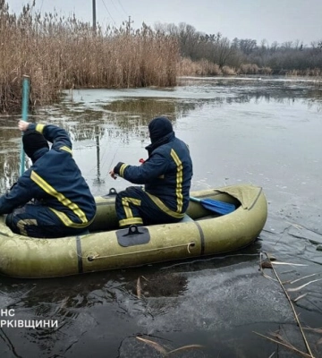 У передмісті Харкова лебідь потрапив у пастку (фото, відео)