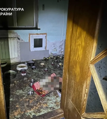 В Киевской области с улиц Гостомеля спасли обезьяну