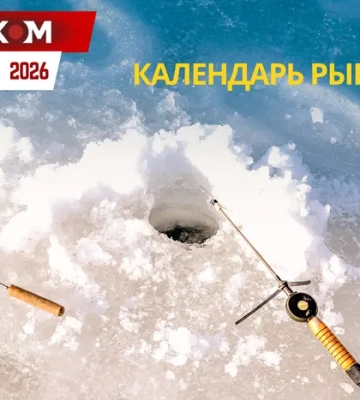 Календарь рыбалки на январь 2026 года: когда и на что лучше всего клюет