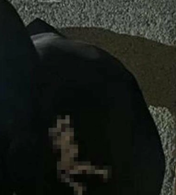 Судитимуть рецидивіста, якого підозрюють у підготовці теракту у Львові