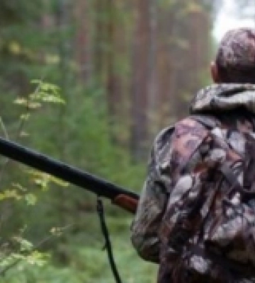На Миколаївщині поліція перевіряє інформацію про поранення чиновника під час полювання у Вознесенському районі