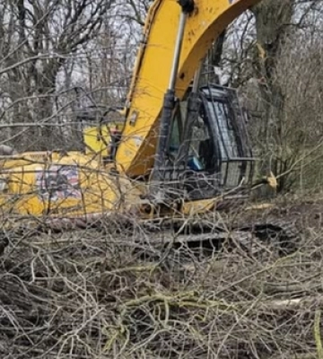 У Несвічі без дозволів викорчували дерева біля дороги 
