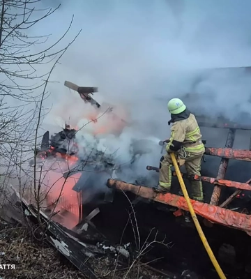 На Рахівщині під час пожежі загинули свійські тварини