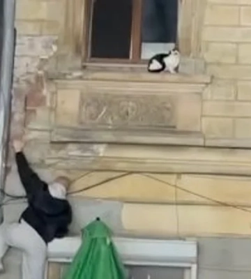 «Решил не терять время». Во Львове мужчина спас кота из горящей квартиры