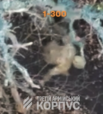 В Харьковской области из-за удара БПЛА загорелся дом. ФОТО