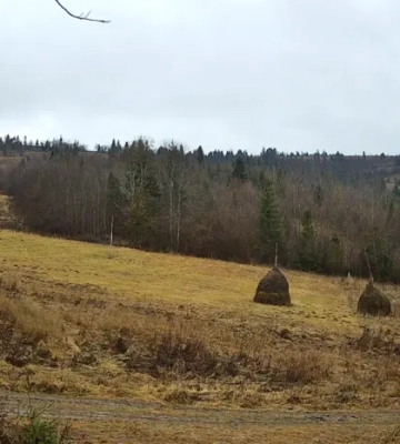 Лижний сезон зірвано. Що відбувається на карпатських курортах посеред зими