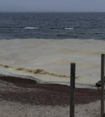 Внаслідок ударів РФ по порту в Одесі стався витік олії у Чорне море. ФОТОрепортаж