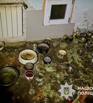 Масова загибель тварин у "притулку" на Київщині: підозрювана під вартою