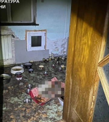Брала котів «на перетримку» – взяли під варту жительку Київщини за загибель понад пів сотні тварин