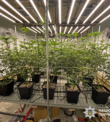 У Дніпрі поліцейські викрили масштабну нарколабораторію з 220 кущами конопель