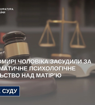 У Житомирі чоловіка засуджено за систематичне психологічне насильство щодо матері