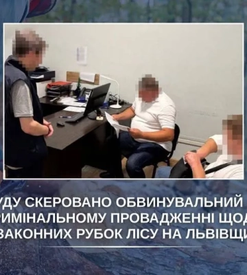 До суду передали справу про незаконні рубки лісу на Львівщині