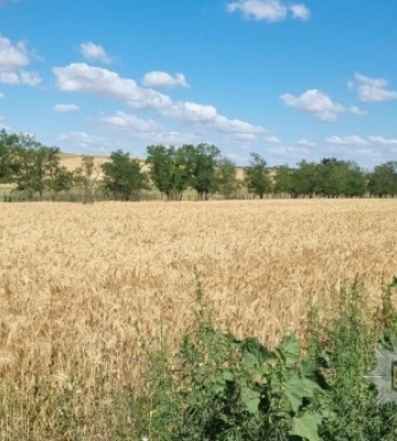 На Одещині чоловік заволодів ноутбуком знайомого та продав його