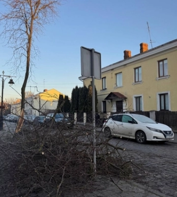 У Старому місті Луцька впало дерево і перегородило прохід 