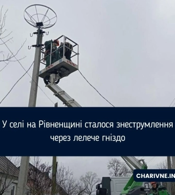 Село на Рівненщині залишилось без світла через лелече гніздо