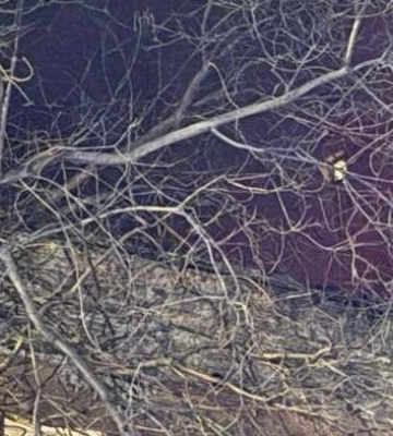 Наслідки вибухів в Одесі: понад 100 вибитих вікон і аварійні відключення